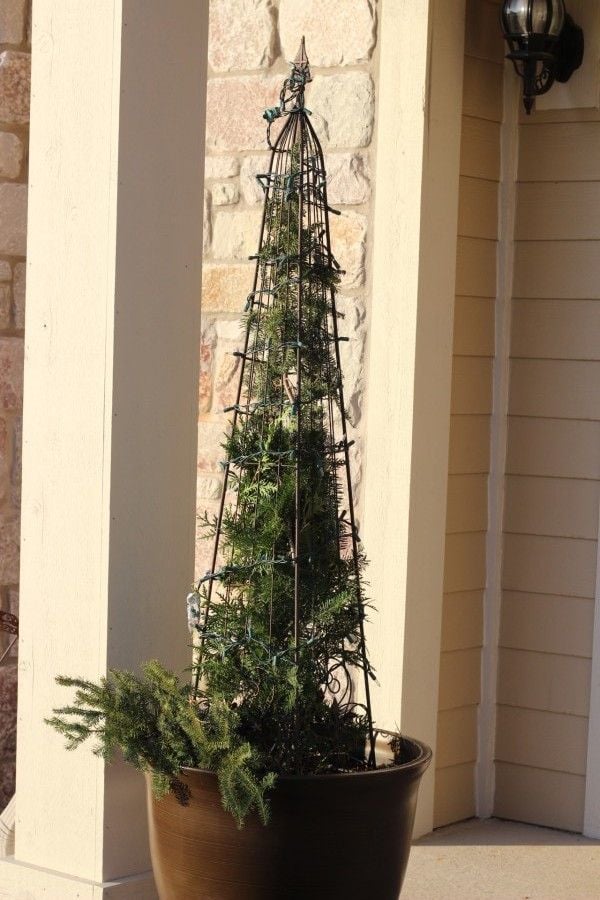 Heidi Horticulture: Christmas Outdoor Container - How To DIY