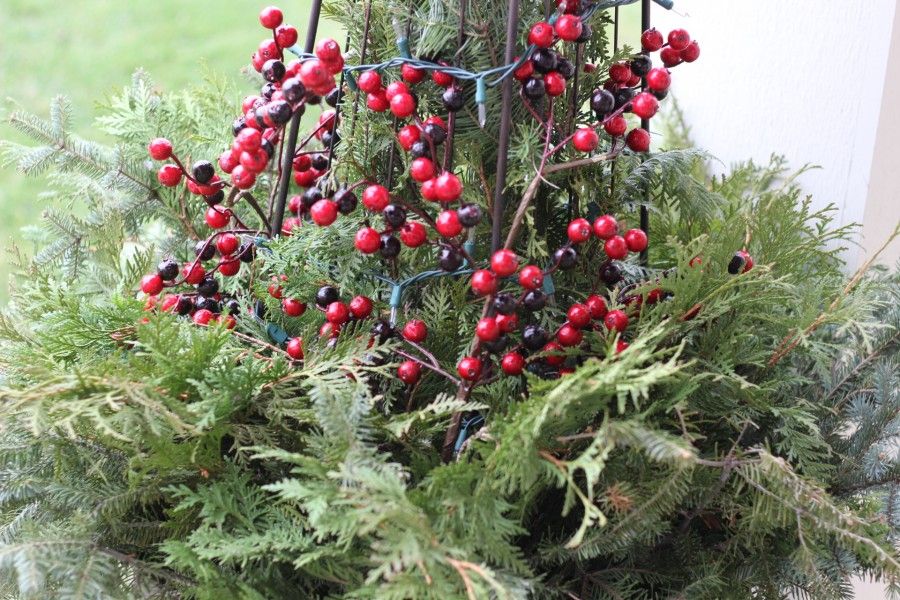 Adding red berry picks to Christmas Planter