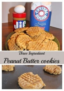 Three Ingredient Peanut Butter Cookies - single about my Top 10 Recipes