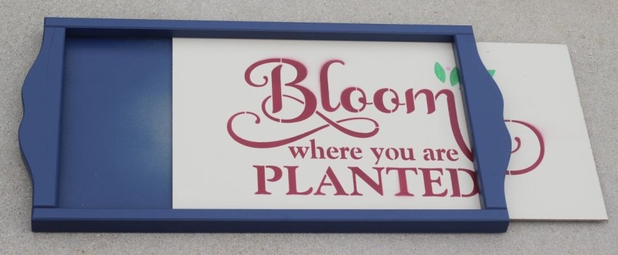 Bloom Where You Are Planted