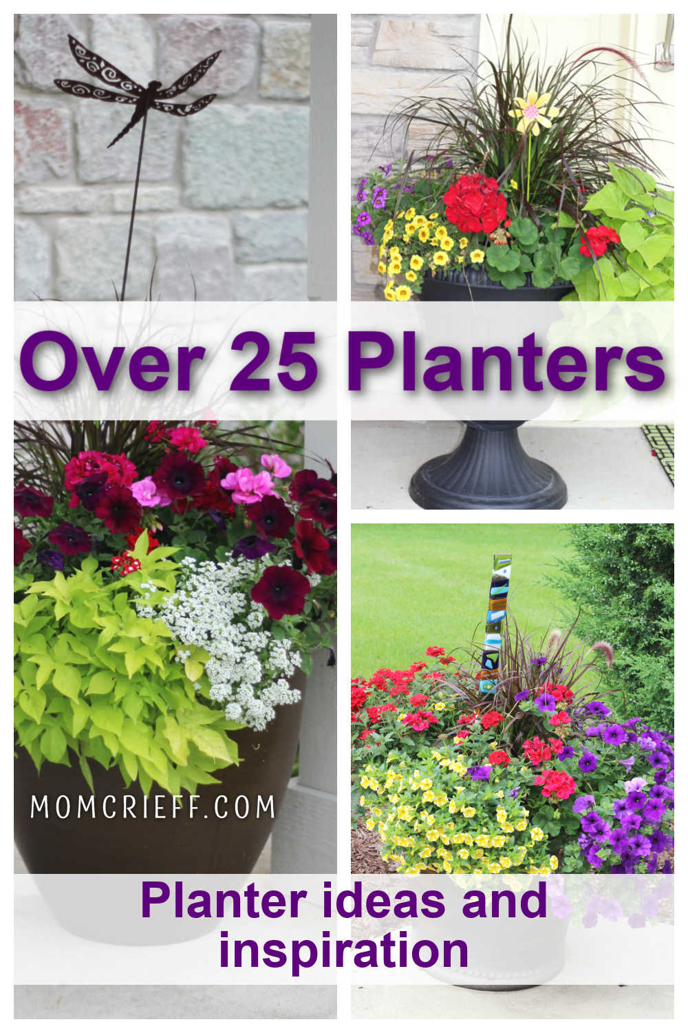 bright colored planters with an overlay stating over 25 planters for ideas and inspiration
