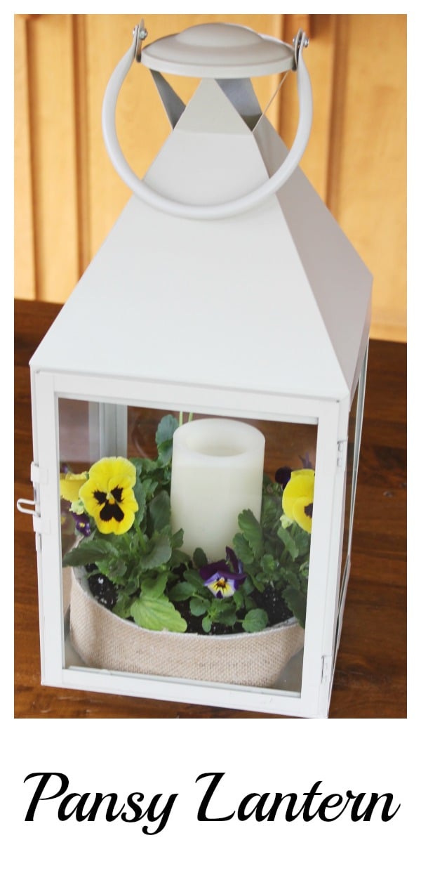 Bring spring inside with a Pansy Lantern