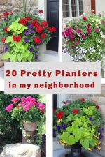 Ideas from 20 planters from my neighborhood! - Momcrieff