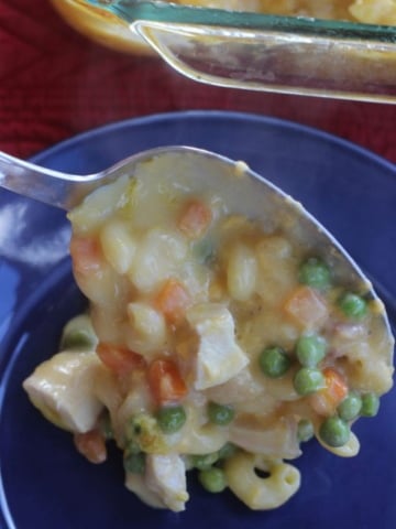 Chicken noodle and cheese casserole