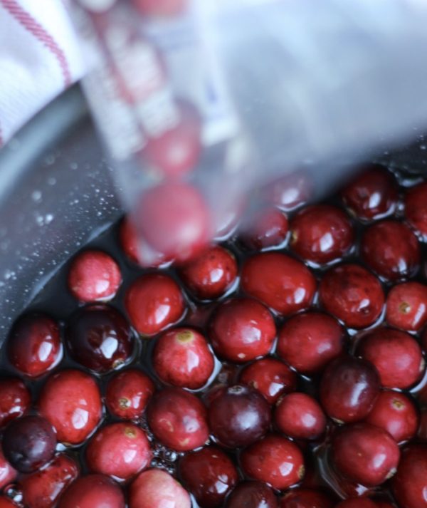 Fresh cranberries poured into a pot with water