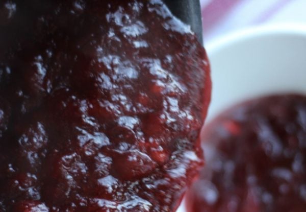 closeup of Cranberry Sauce
