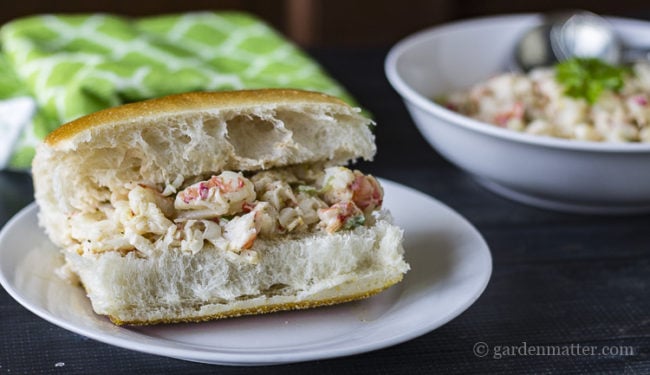 Adult lunch idea - shrimp salad sandwich roll