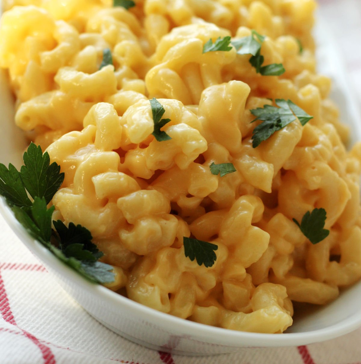 A plate of mac and cheese garnished with green parsley.