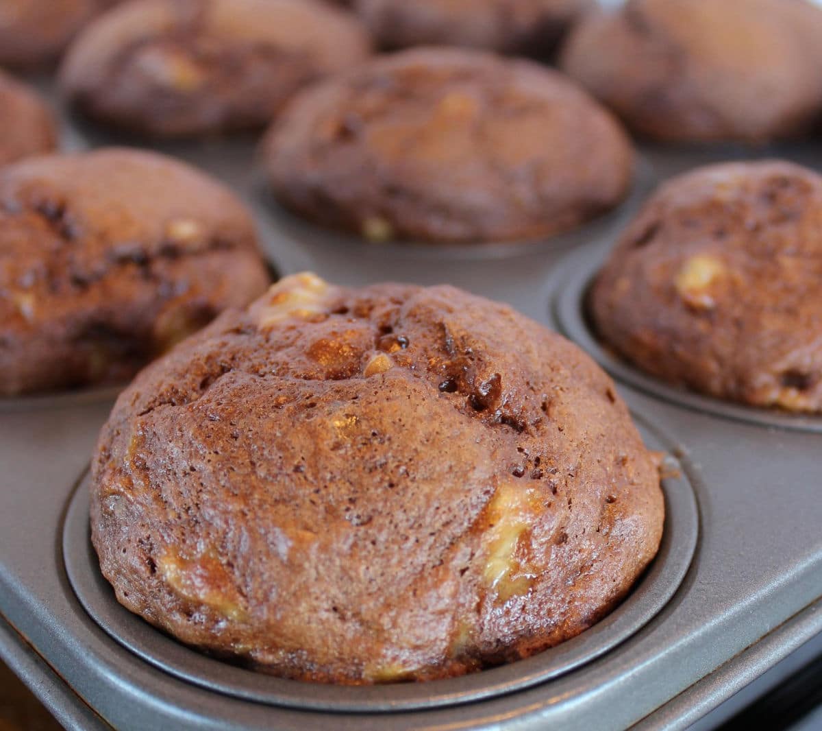 3 ingredient chocolate banana muffins