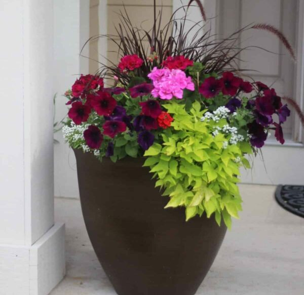 Planters in Front of a Garage - Momcrieff