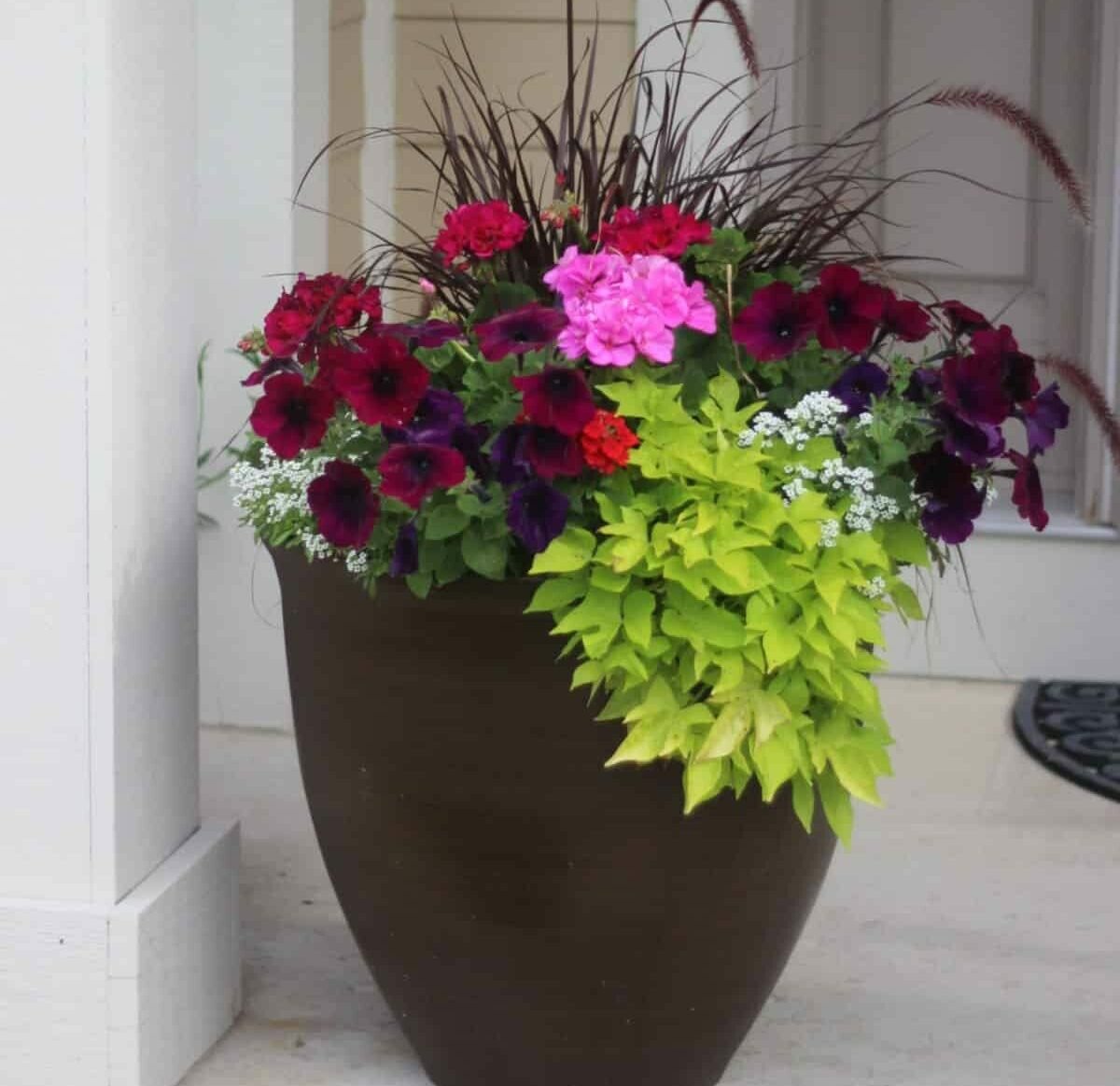 front door planter full of pink petunias, purple fountain grass and sweet potato vine.