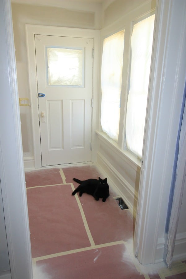 Mudroom with windows covered in plastic and floors covered with paper. 