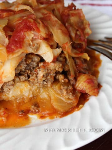 close up on deconstructed cabbage roll