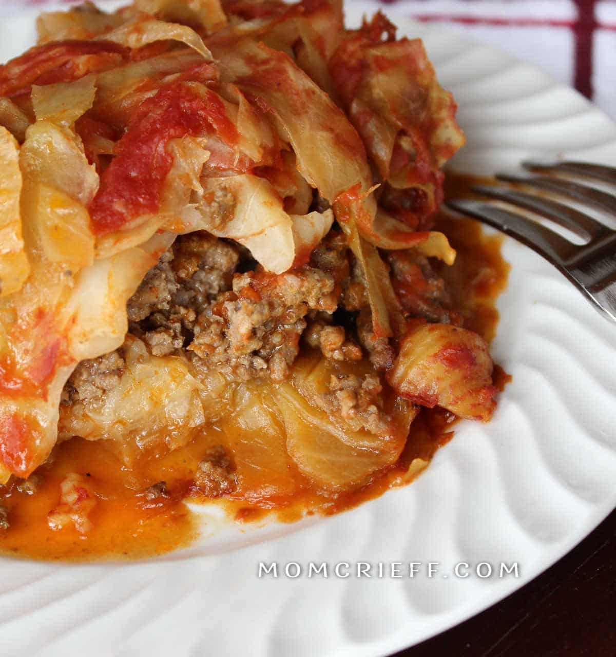 close up on deconstructed cabbage roll