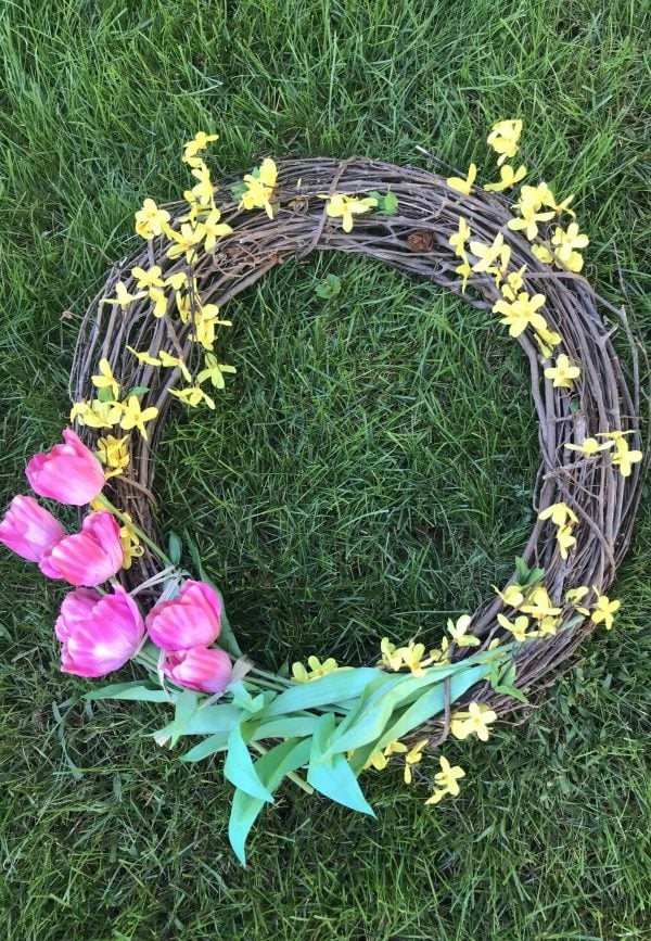 grapevine wreath with tulips and forsythia.