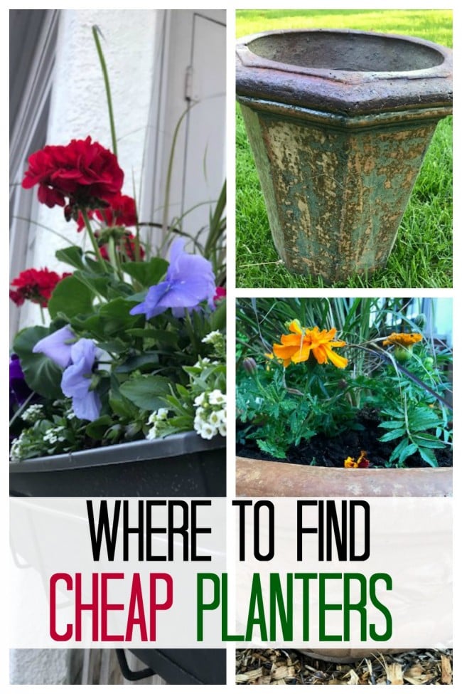 8 Places to Find Free Gardening Containers - One Hundred Dollars a