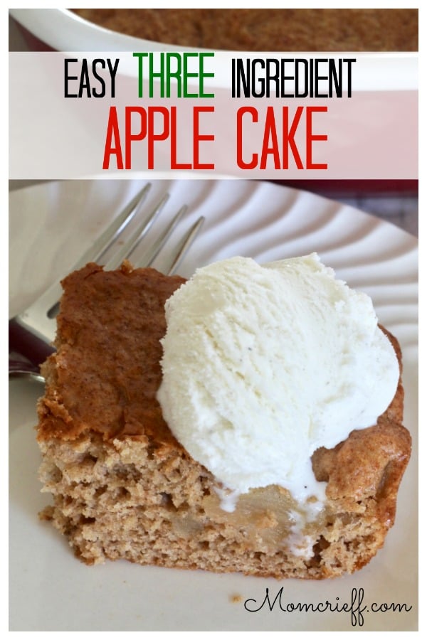 apple cake on a white plate with a scoop of ice cream. 