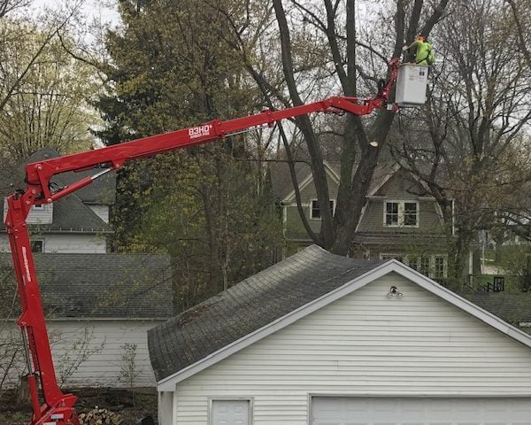 garage with bowed roofline with tall tree behind it