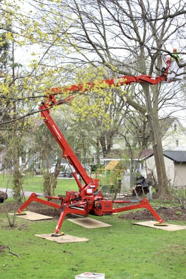 Equipment used to raise arborist into the tall trees to cut down branches.