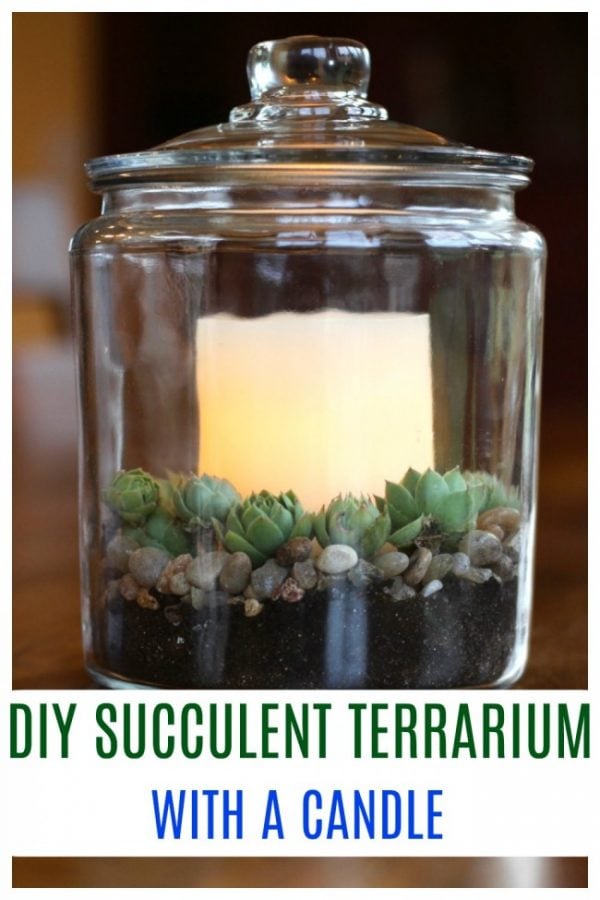 Glass storage container with a candle in the center, surrounded by hens and chick succulents.