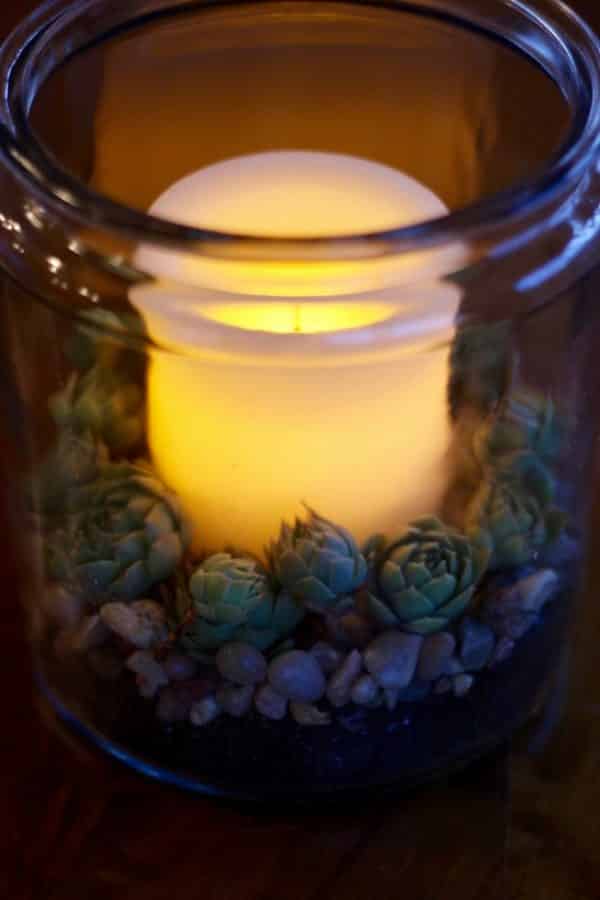 A glowing candle in the center of sedums in a glass storage container. 