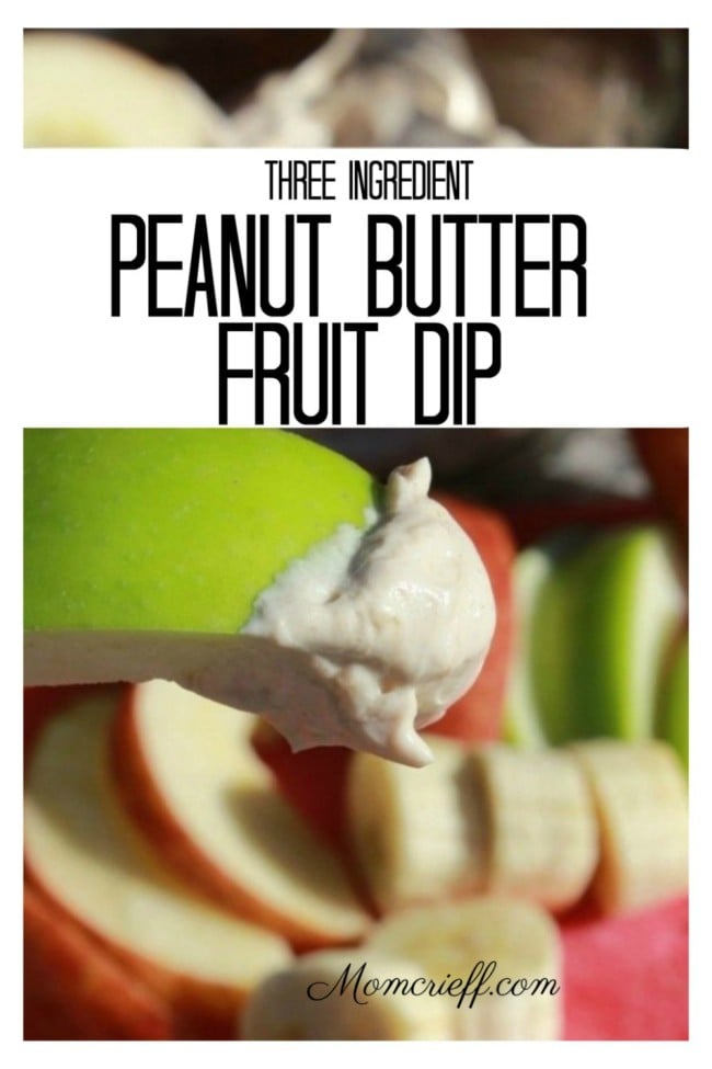 3 Ingredient} Peanut Butter Yogurt Dip