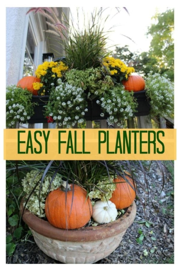 a couple of fall planters featuring mums and pumpkins surrounding a tall grass