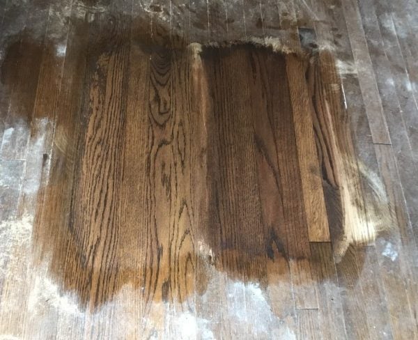 stain samples on the oak floor