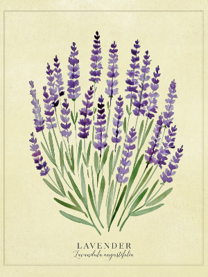 lavender printable 8x10 vintage momcrieff
