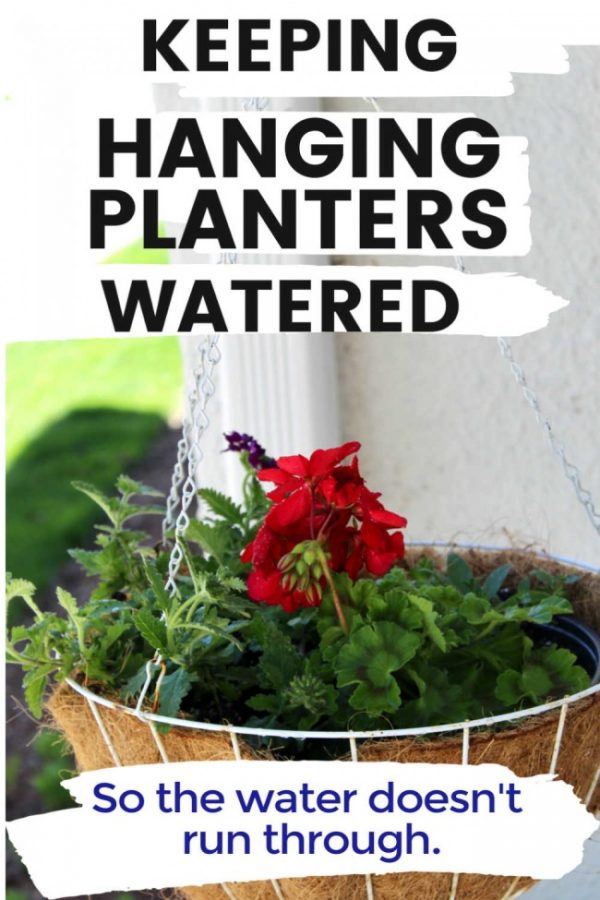 hanging planter with red geranium with text stating Keeping Hanging Plants Watered.
