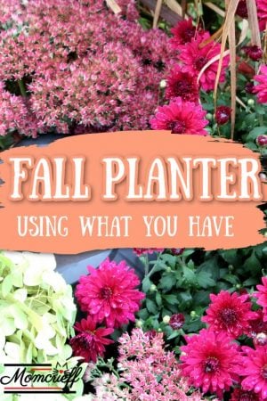 fall planter with a hydrangea, autum sedum and mums