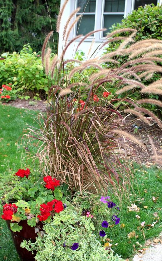 Creating a fall planter on a budget. - Momcrieff