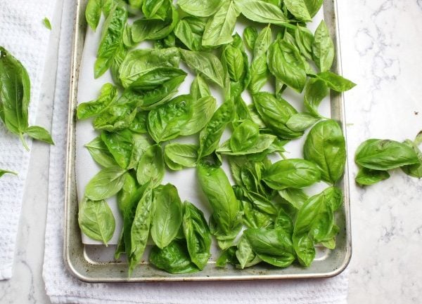 spread basil in single layer on a baking pan