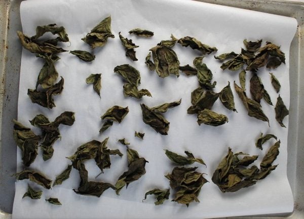 dried basil on a baking sheet