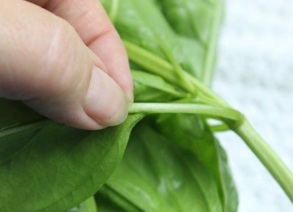 basil leaves being pinches off stem