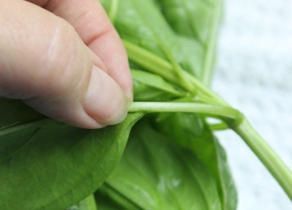 basil leaves