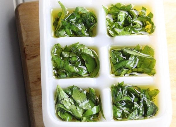 fresh basil in an ice cube tray with olive oil