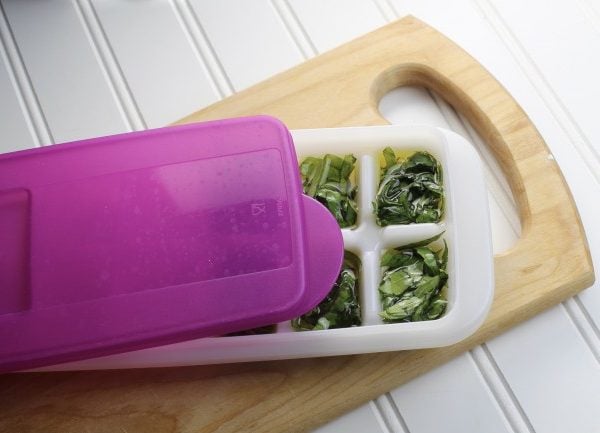 basil leaves in olive oil in an ice cube tray with a lid