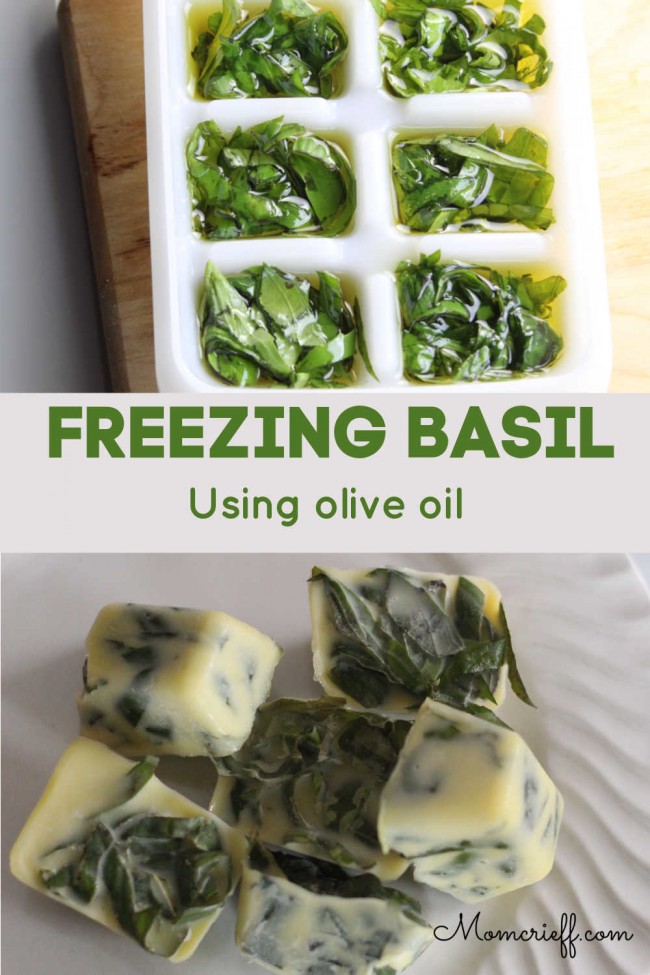 How to Freeze Basil