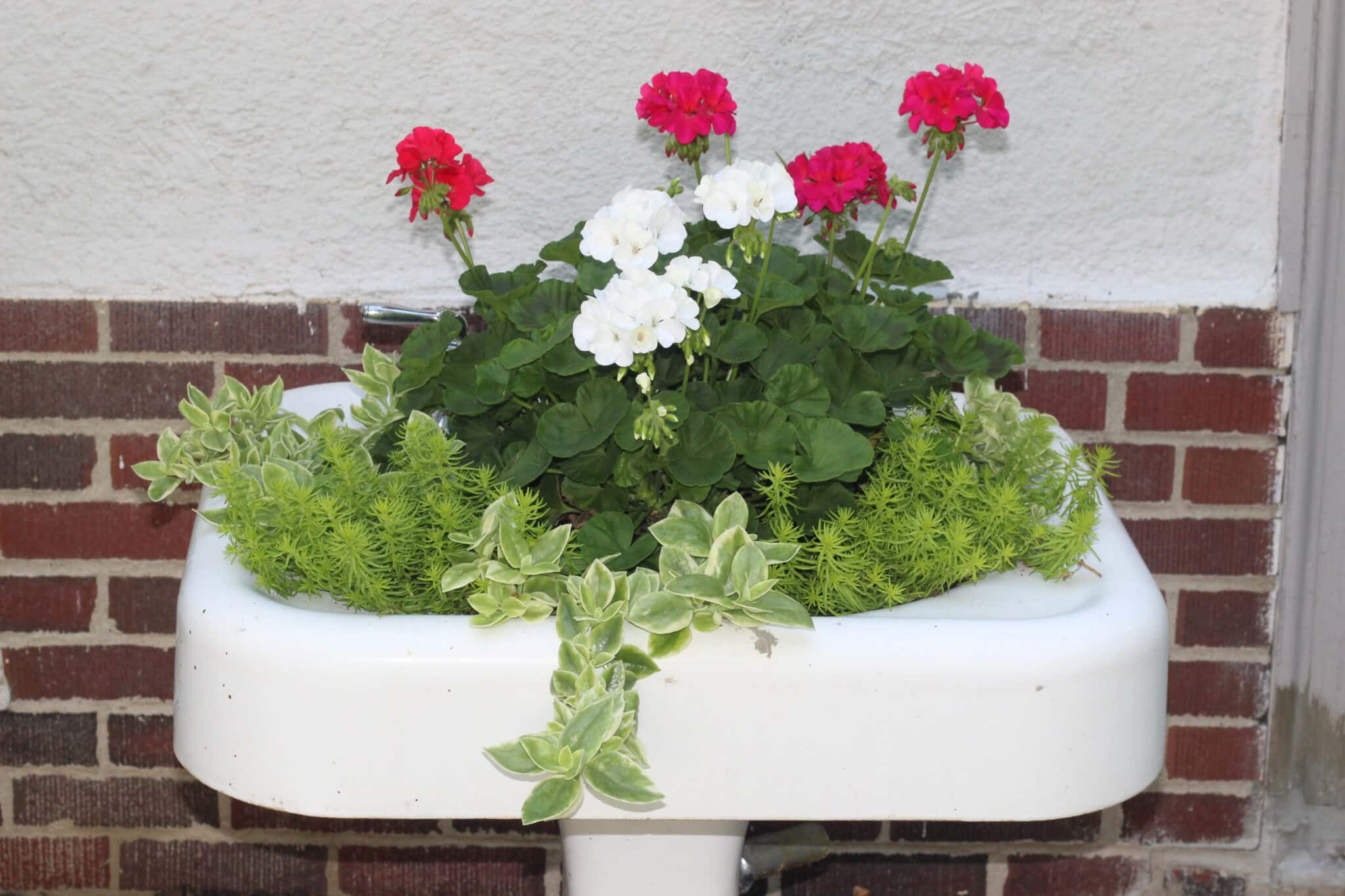 vintage bathroom sink container garden