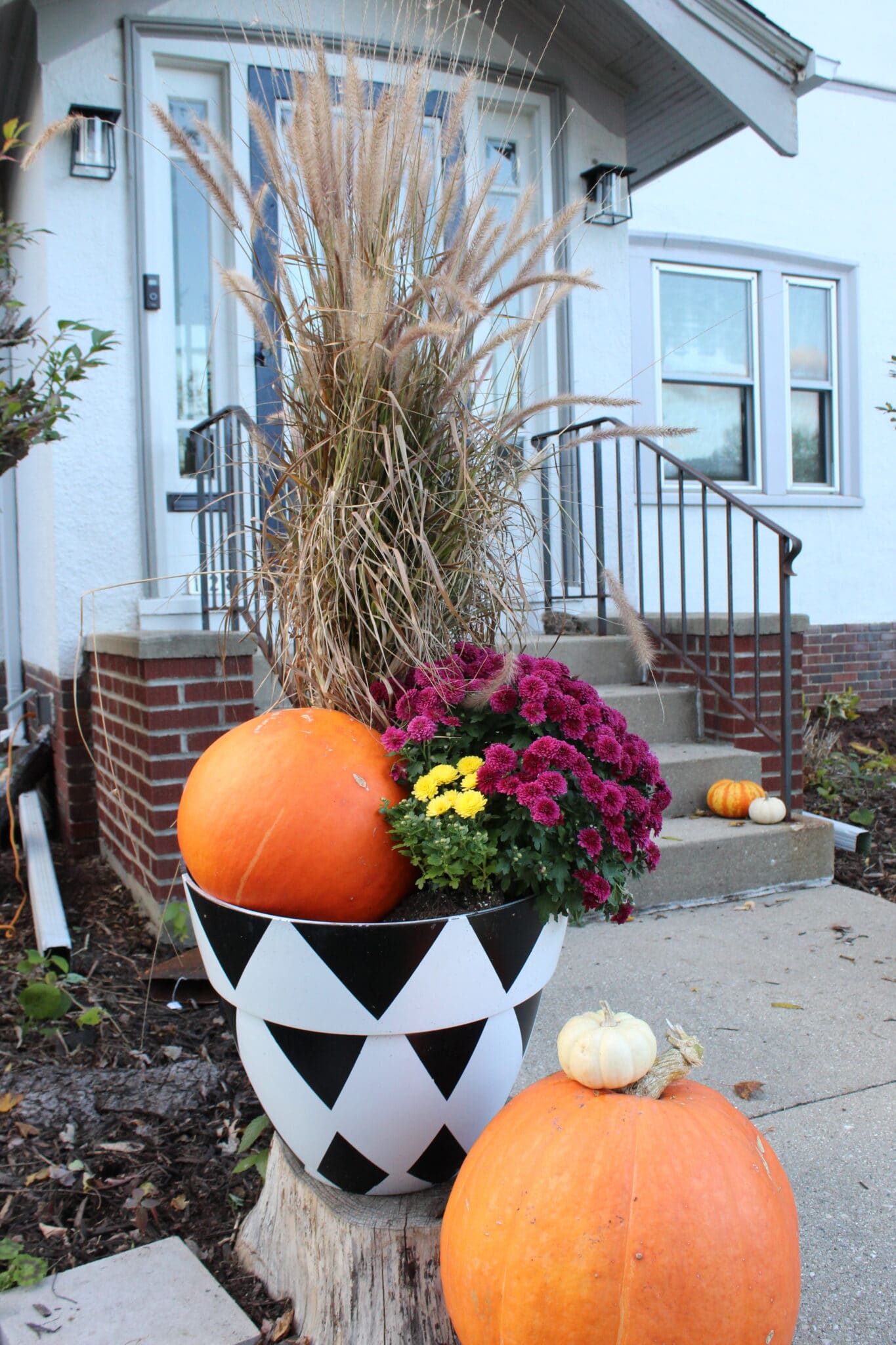 black and white planter with purple mum and a pumpkin
