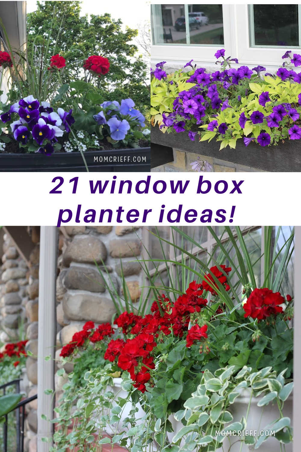 three colorful window boxes