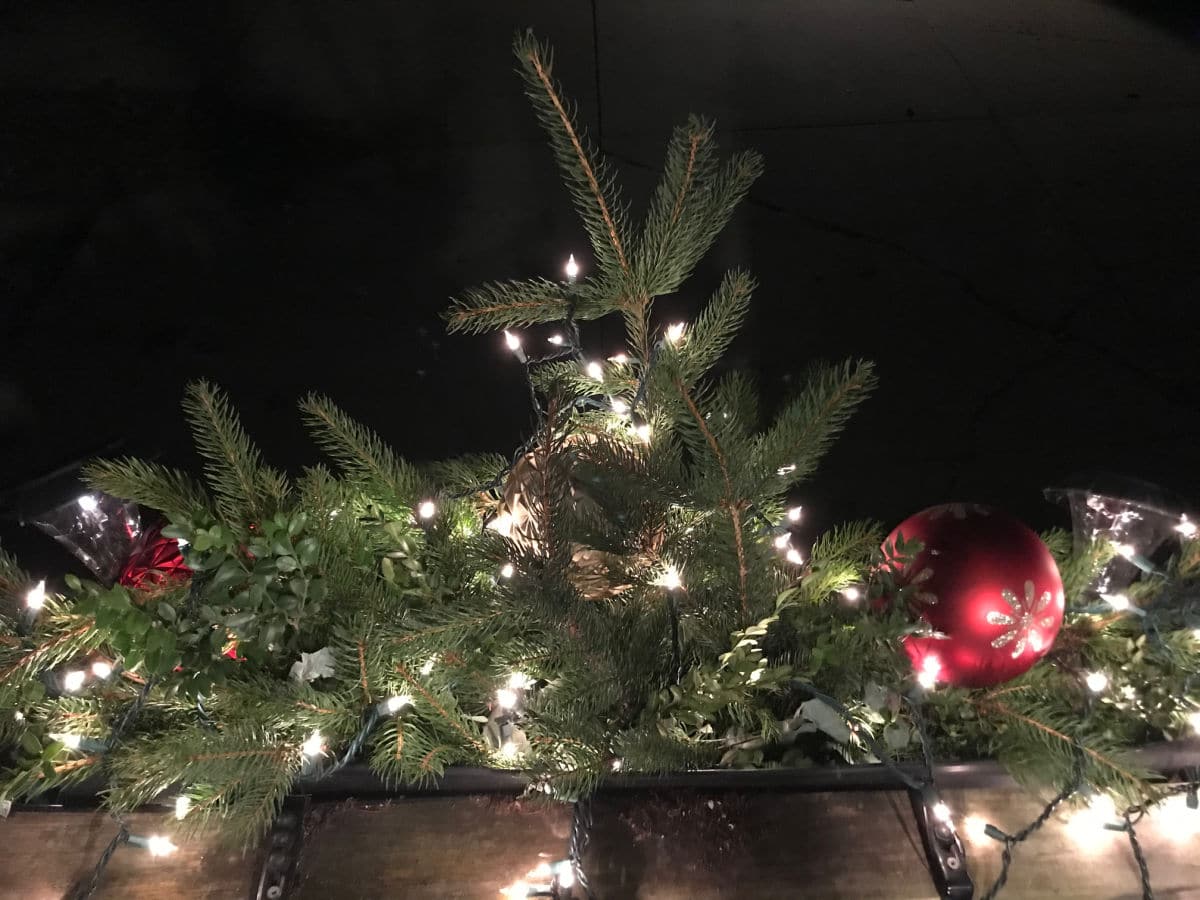 small tree in planter with white lights