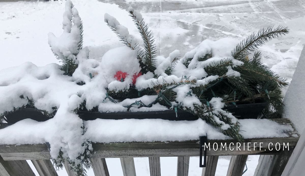 snow covered holiday window box