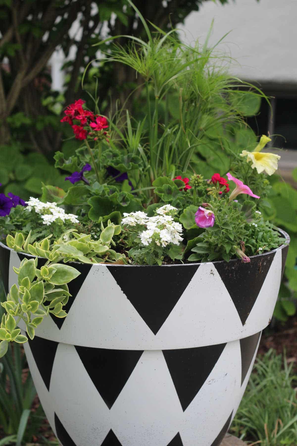 black and white painted planter