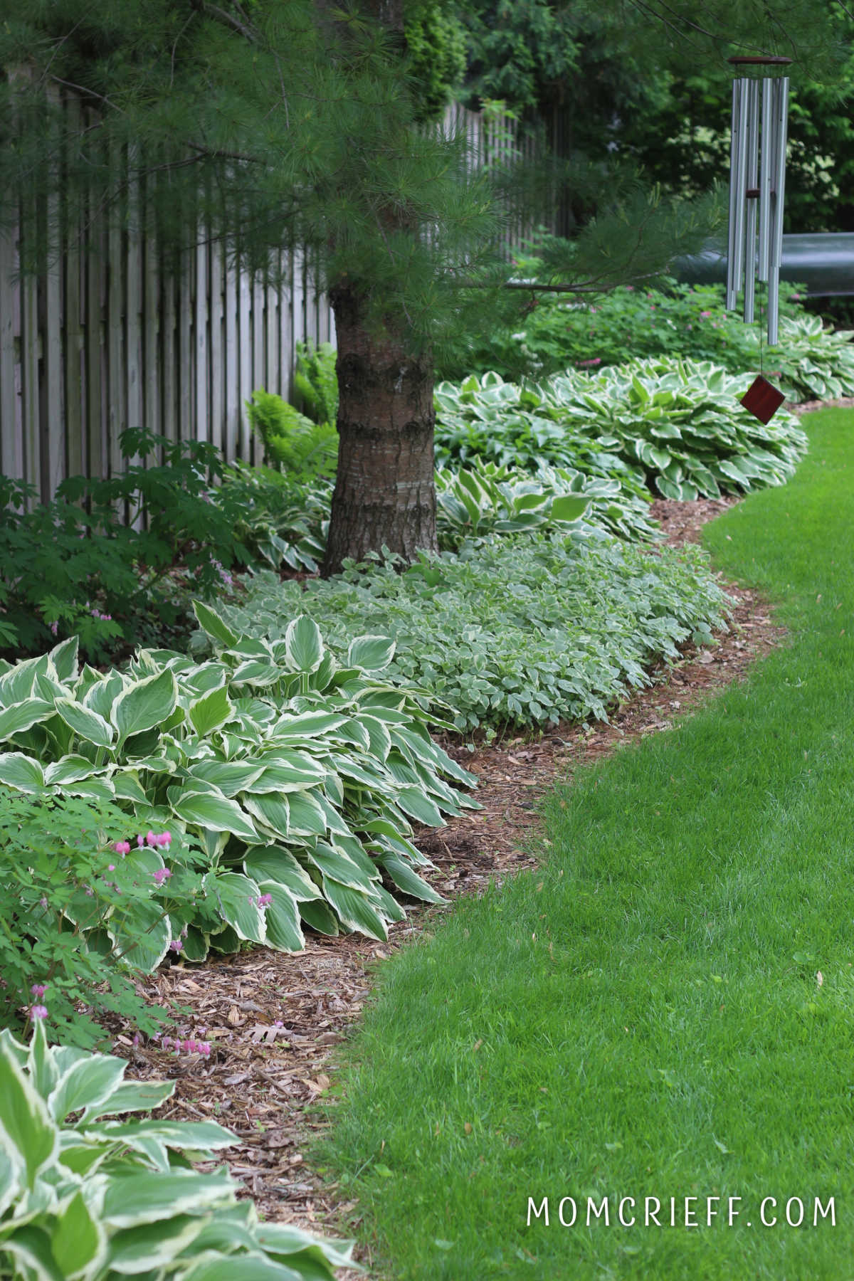 shade garden lining the side of a yard with variegated plantings