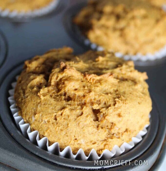 closeup of pan of two ingredient pumpkin muffins