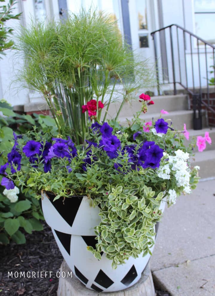 How to plant flower pots Momcrieff