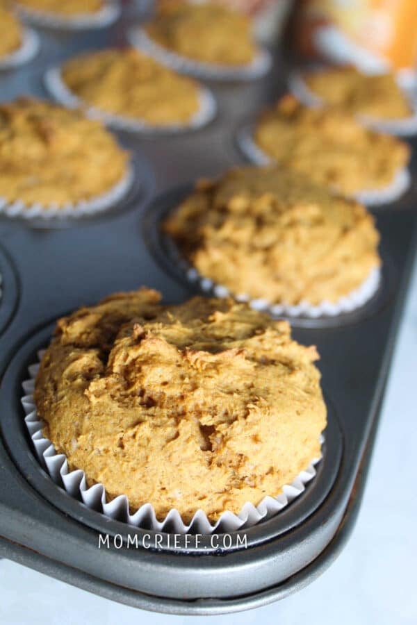 pumpkin muffin