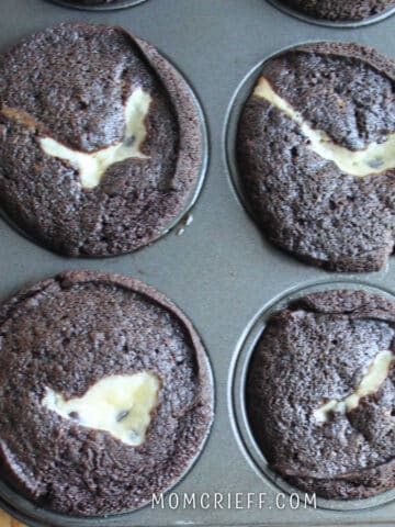 black bottom cupcakes with chocolate cake and cream cheese in the middle